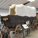 IMG_7826 (May 28, 2024)